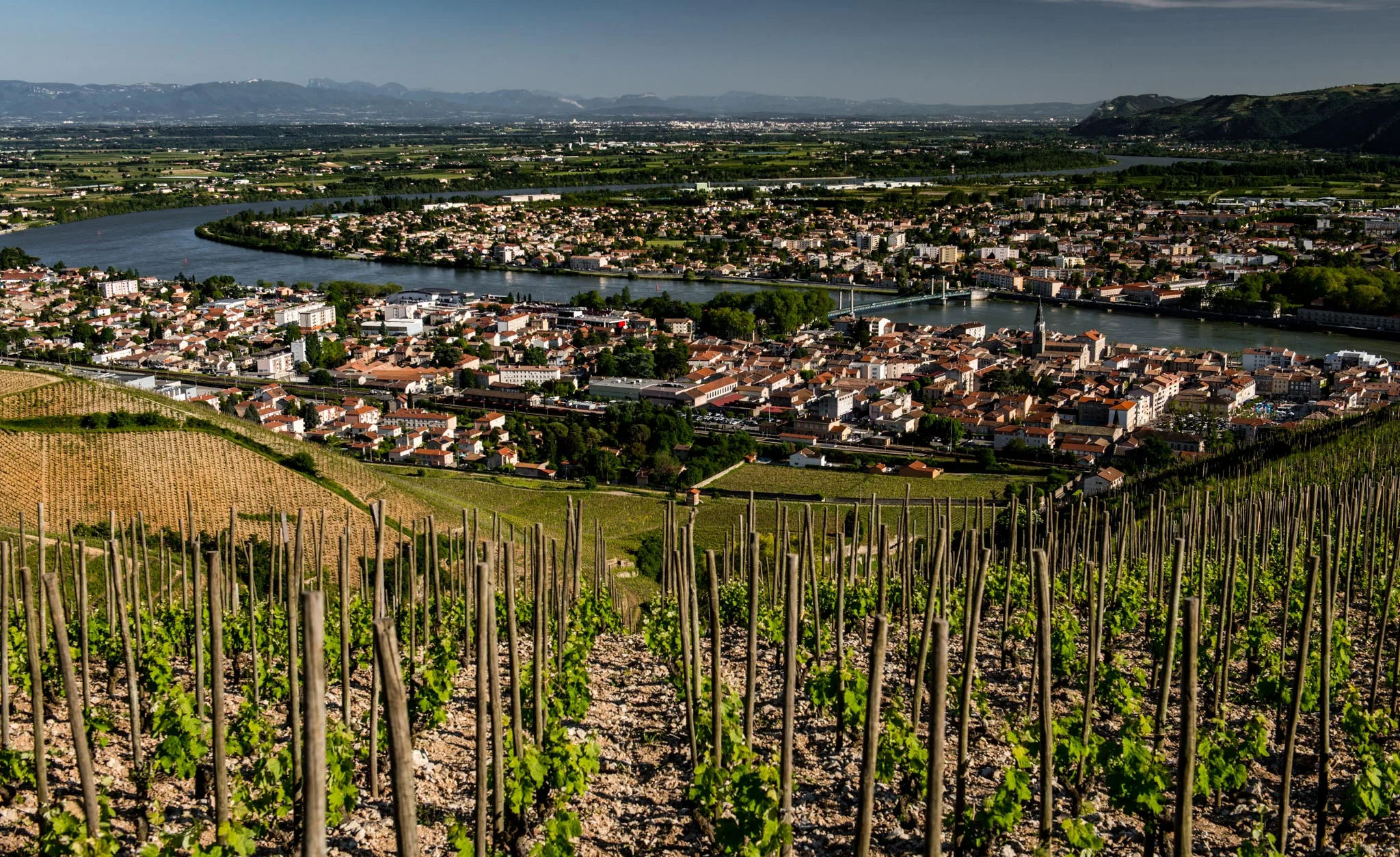 France : Northern Rhone : Overlooking Tain l'Hermitage