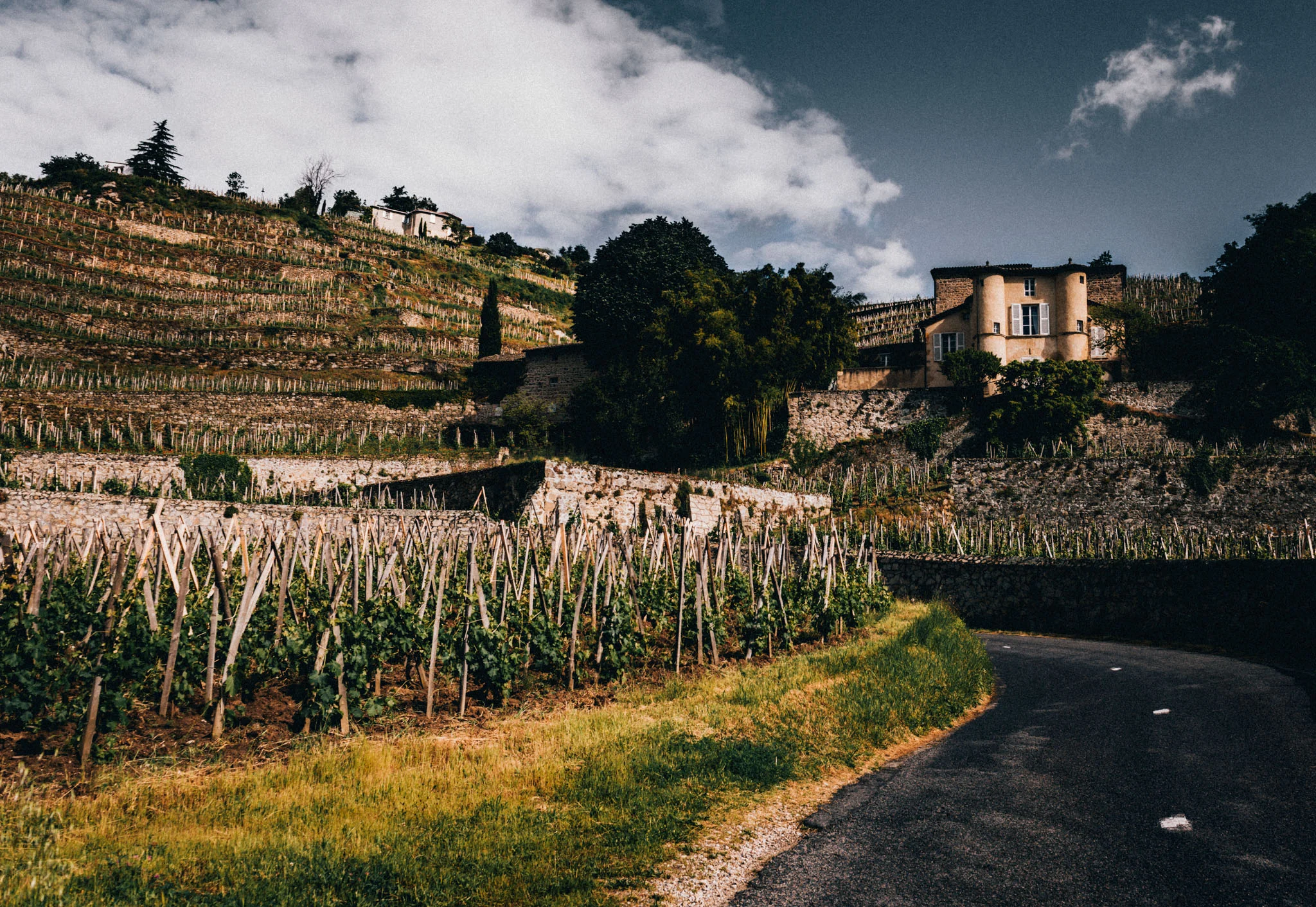 France : Northern Rhone : Chateau-Grillet