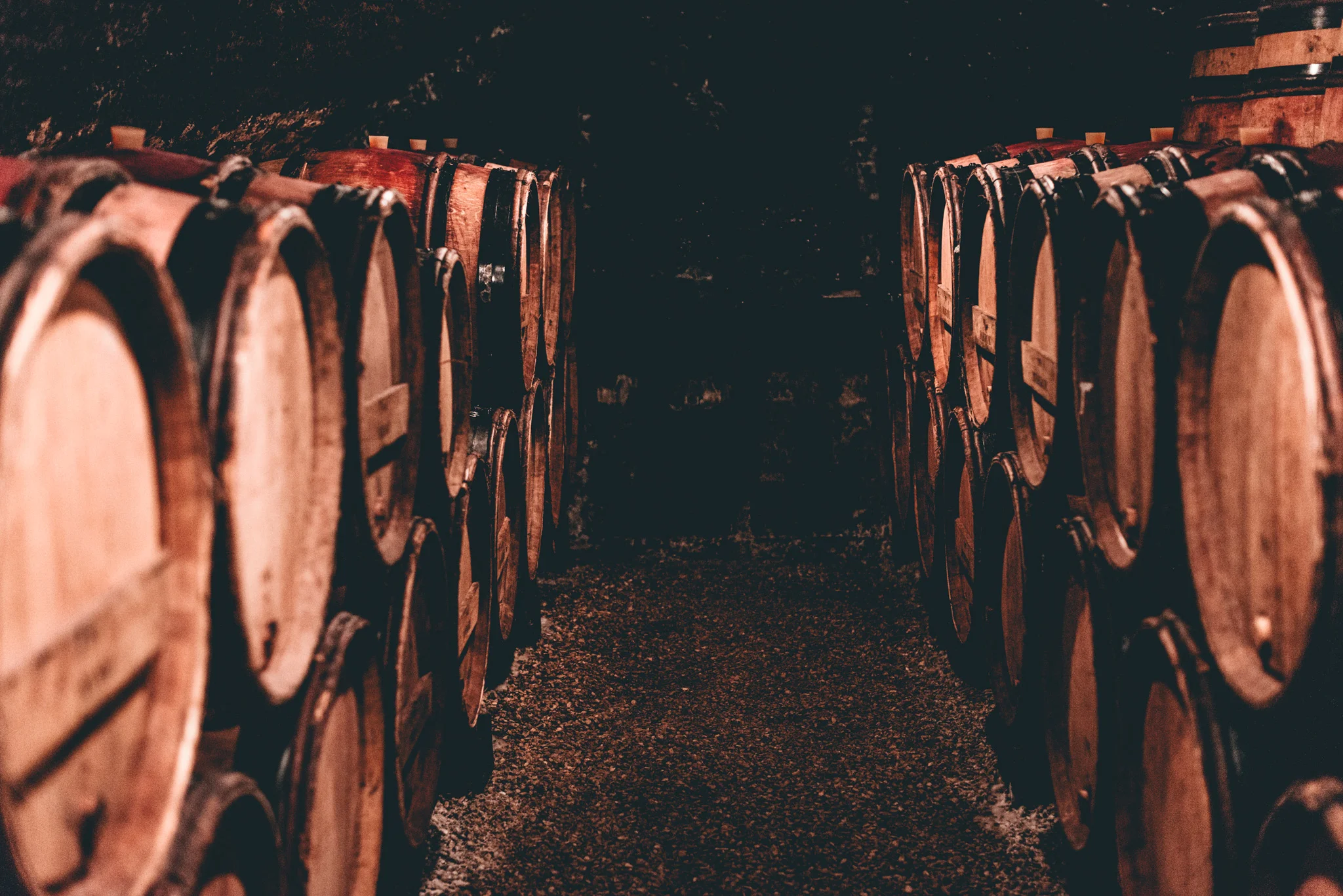 Burgundy : Cote de Beaune : Volnay : In the cellar at Joseph Voillot