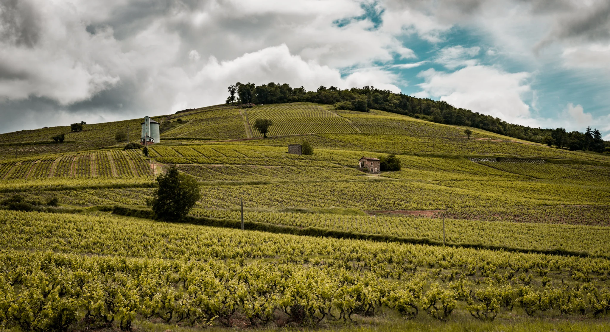 France : Beaujolais : Cote de Brouilly