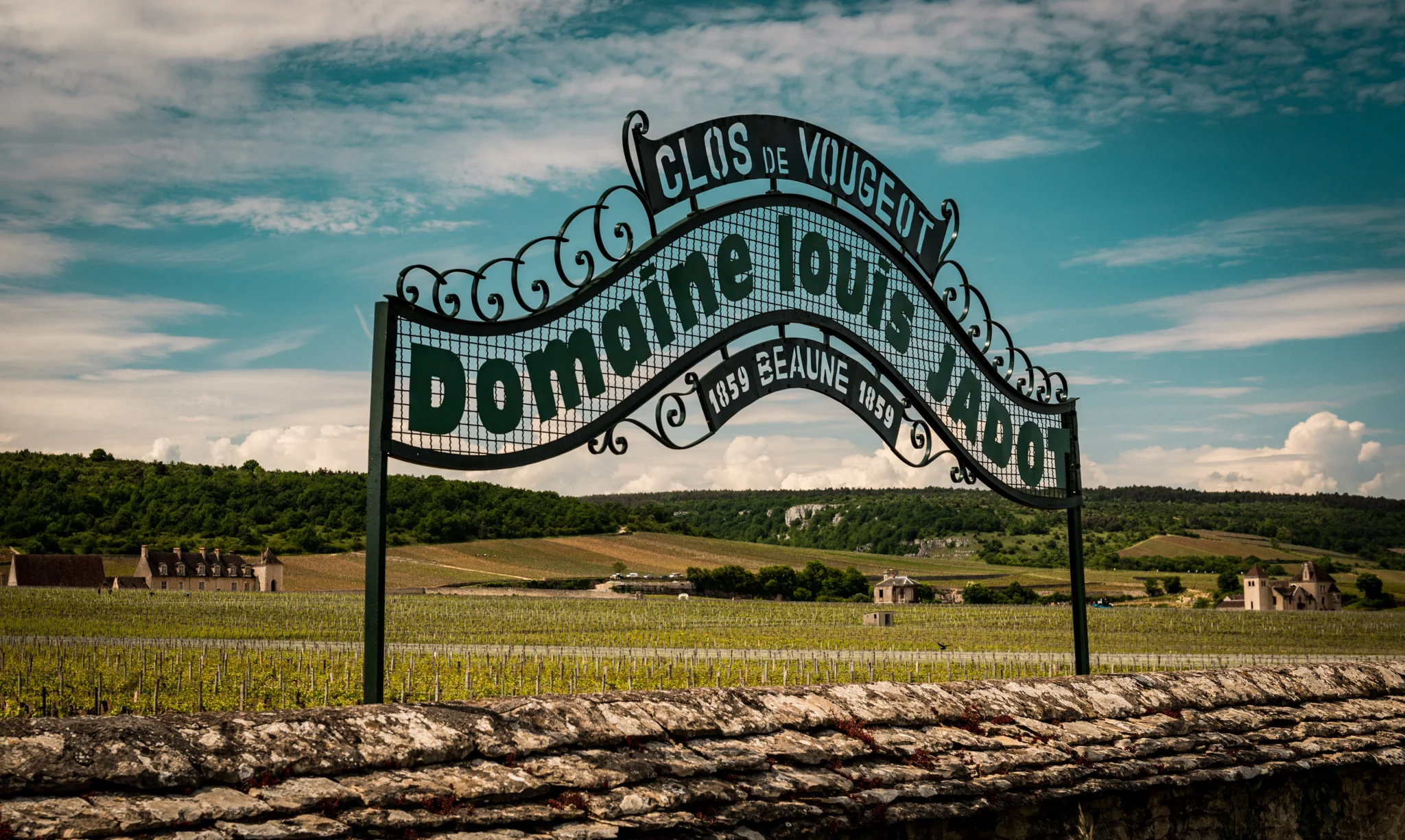 Burgundy : Cote de Nuits : Vougeot : Clos de Vougeot