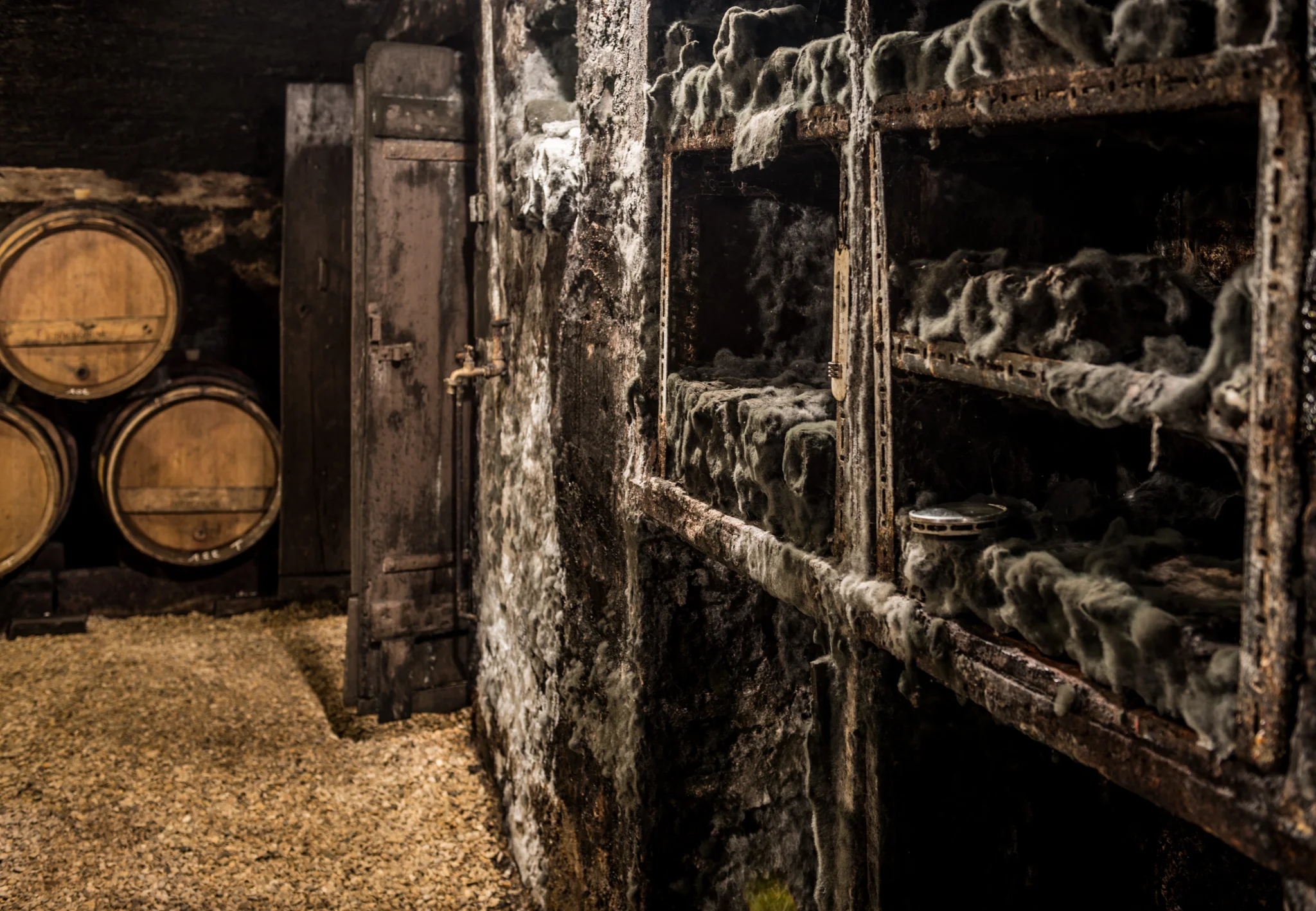 Burgundy : Cote de Beaune : Volnay : In the cellar at Joseph Voillot