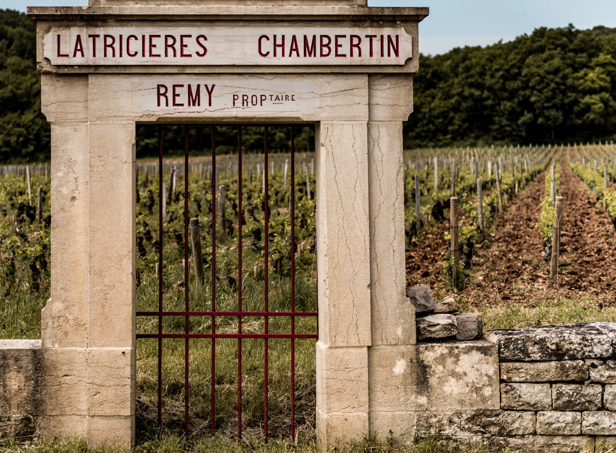 Burgundy : Cote de Nuits : Gevrey-Chambertin : Latricieres Chambertin