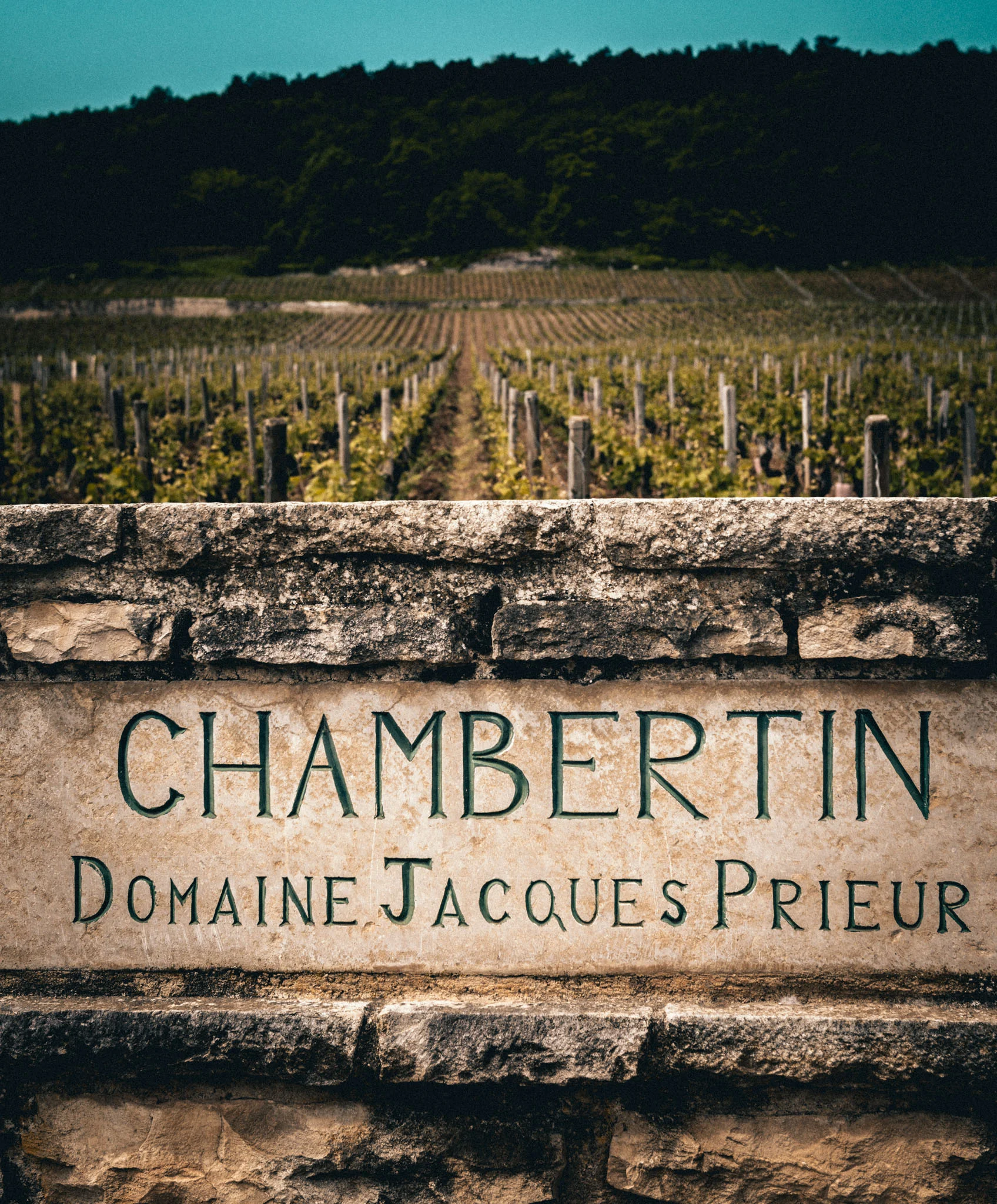 Burgundy : Cote de Nuits : Gevrey-Chambertin : Chambertin grand cru