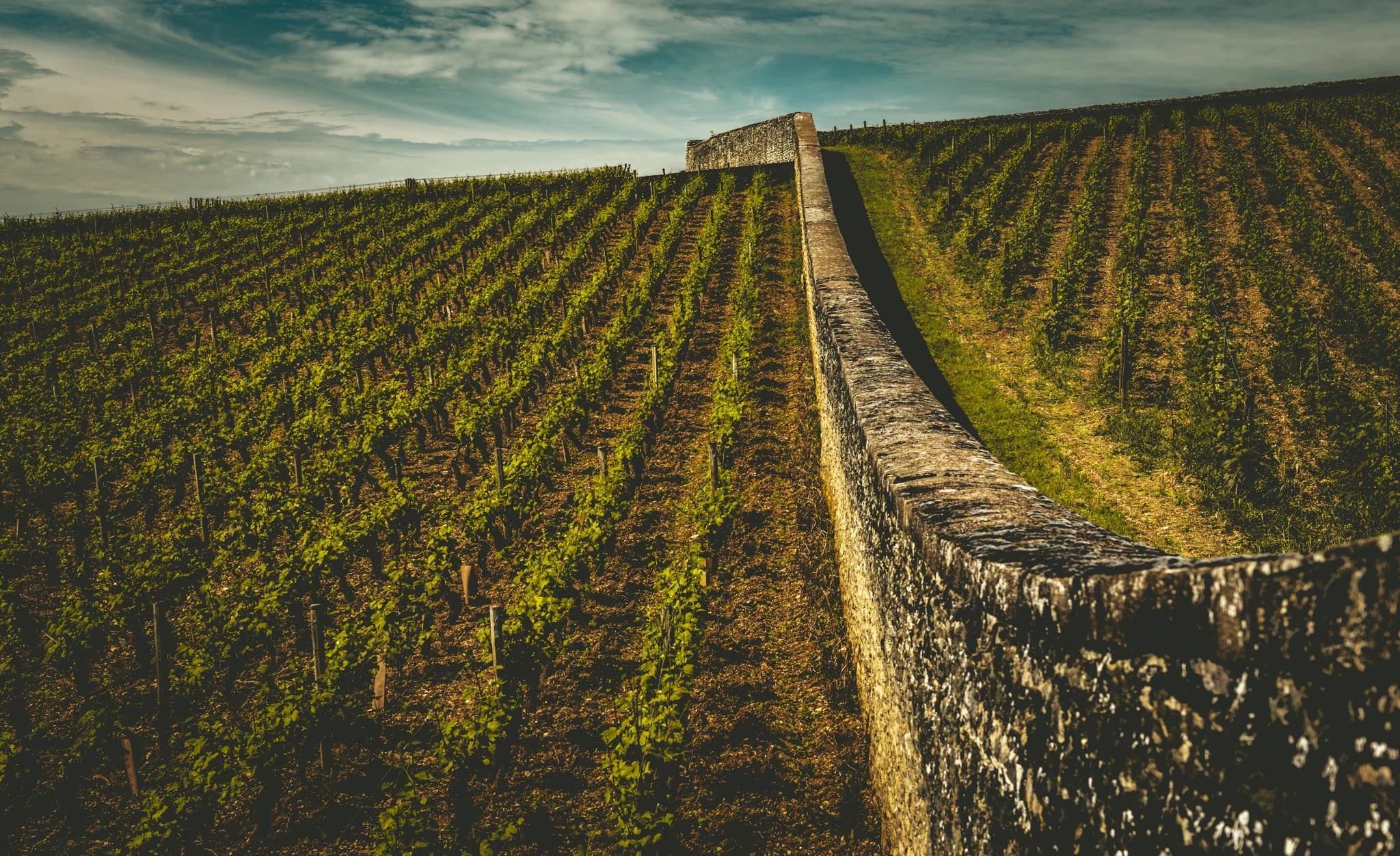 Burgundy : Cote de Beaune : Volnay : En Verseuil & Le Village