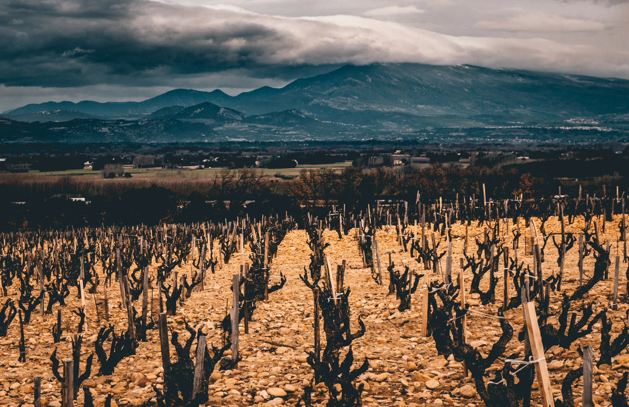France : Southern Rhone : Chateauneuf-du-Pape and Mont Ventoux