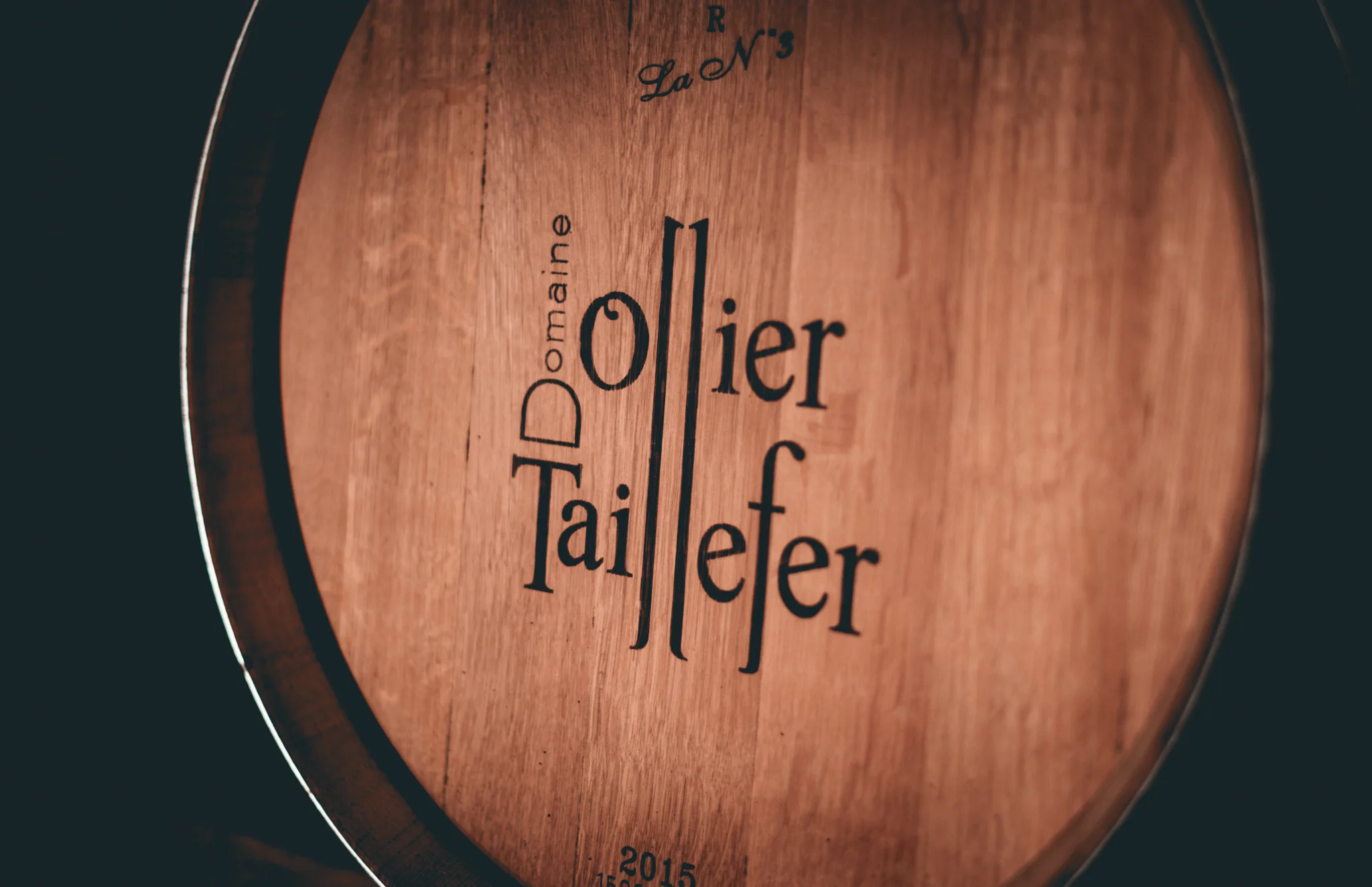 France : Languedoc : Domaine Ollier Taillefer in Faugeres