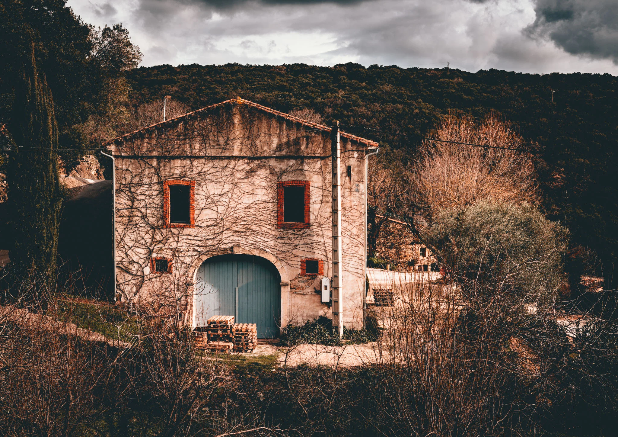 France : Languedoc : Domaine Ollier Taillefer in Faugeres