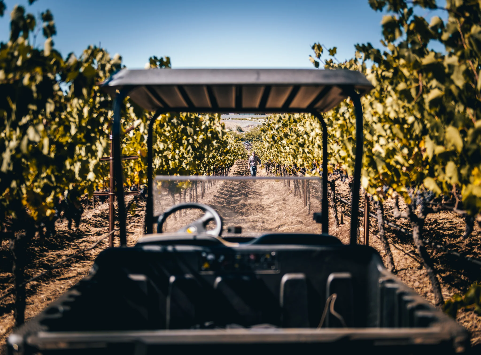 California : Napa Valley : Winemaker Nile Zacherle patrolling vineyards at David Arthur Vineyards