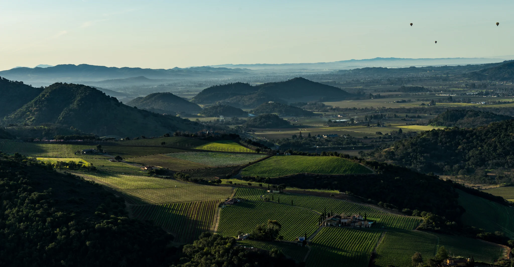 California : Napa Valley : A view of the Napa Valley from atop Pritchard Hill at Montagna