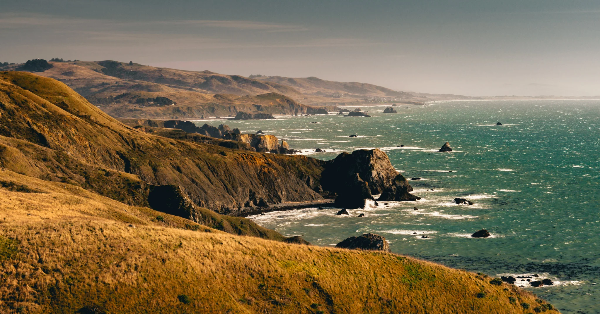 California : Sonoma : Sonoma coastline in/near Jenner