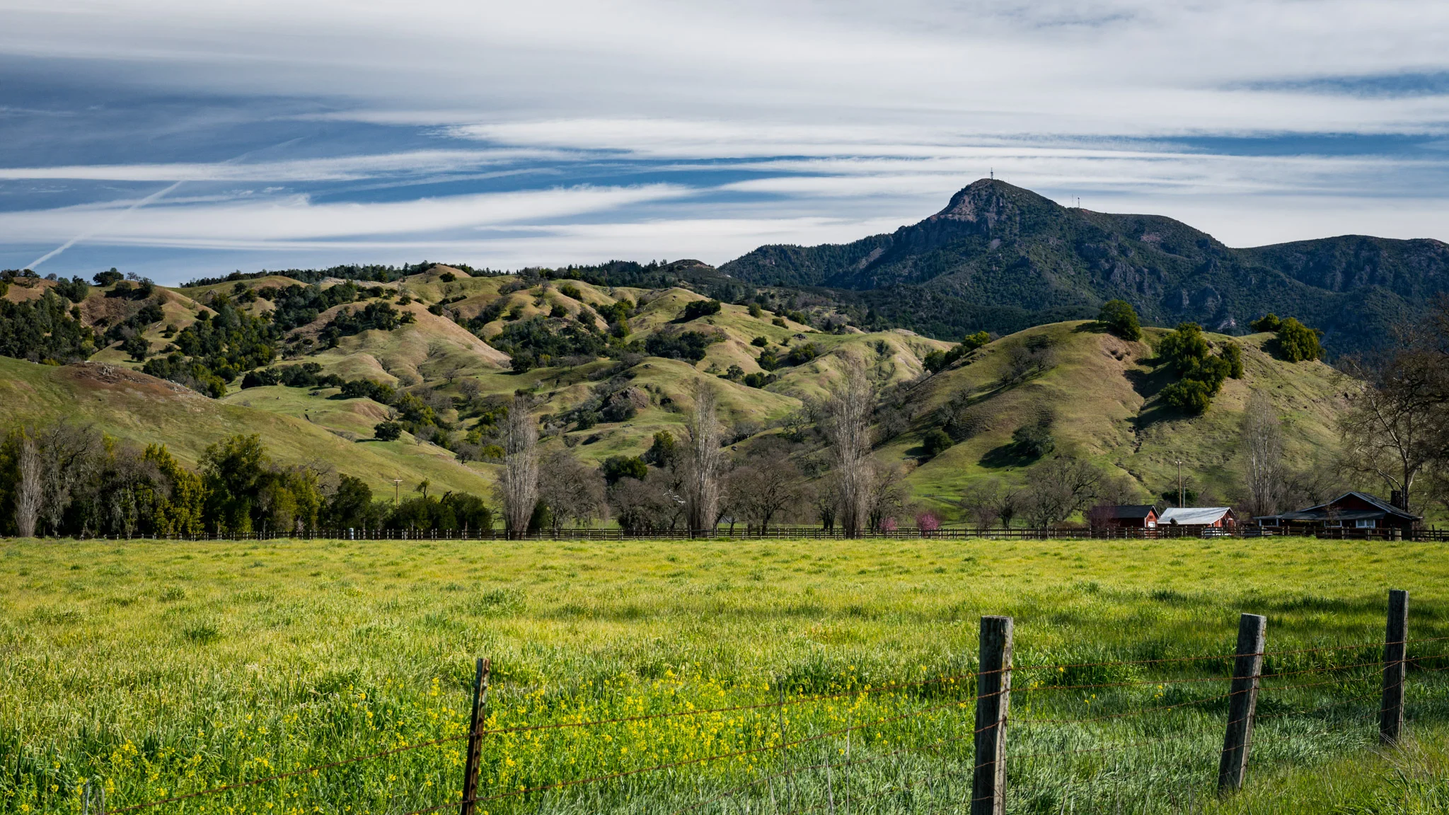 California : Sonoma : Knights Valley