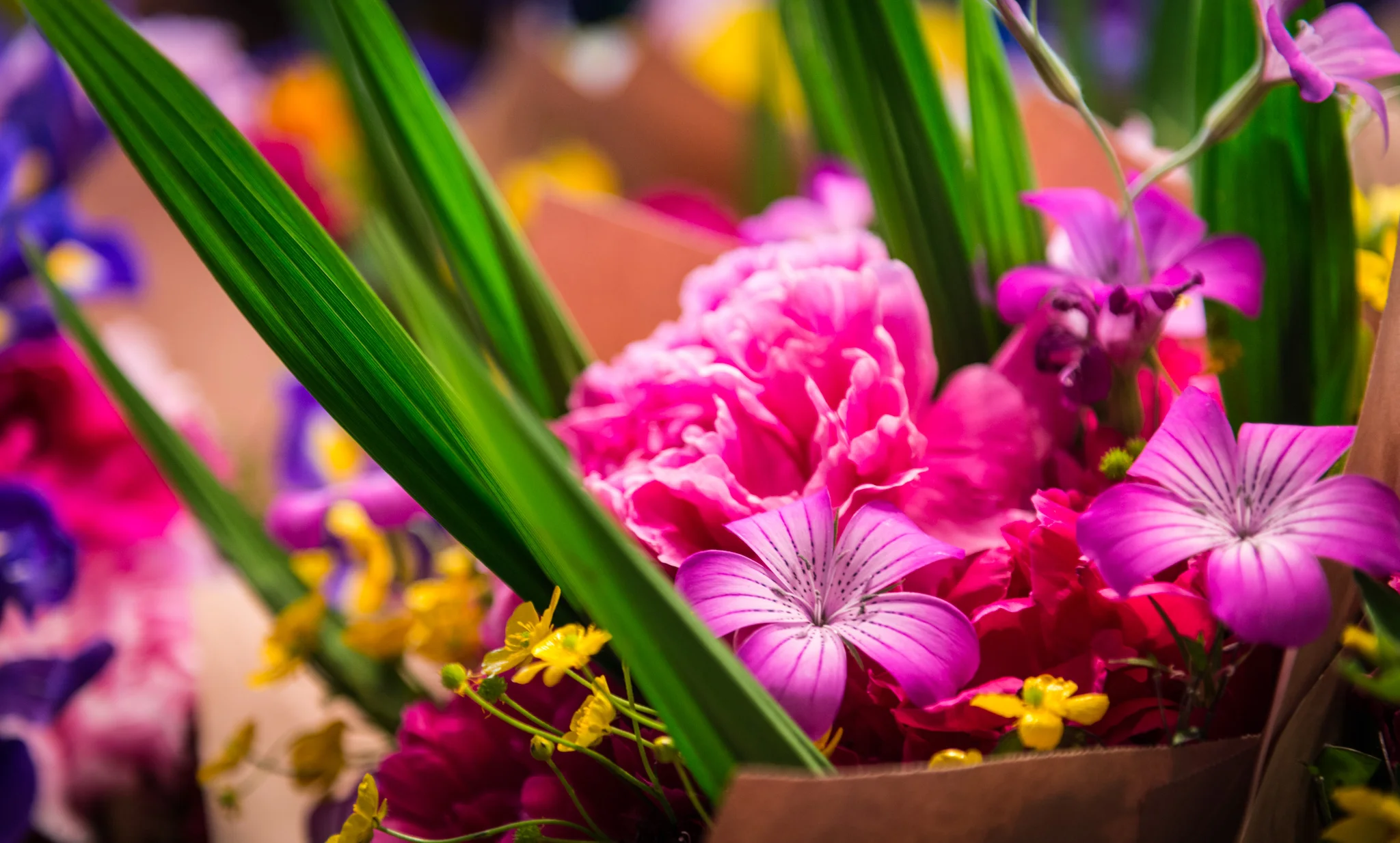 United States : Washington : Seattle : Pike Place Market