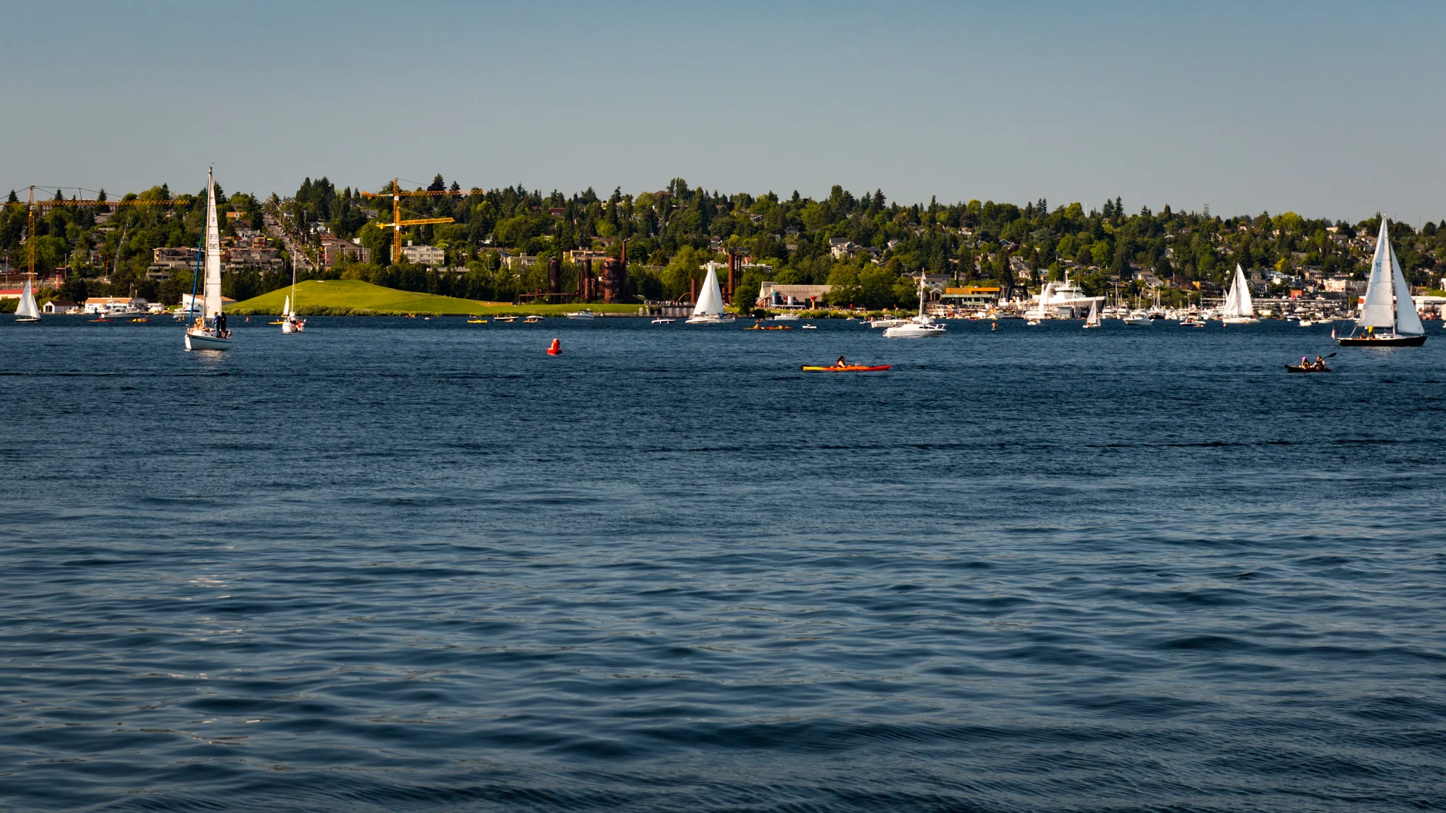 United States : Washington : Seattle