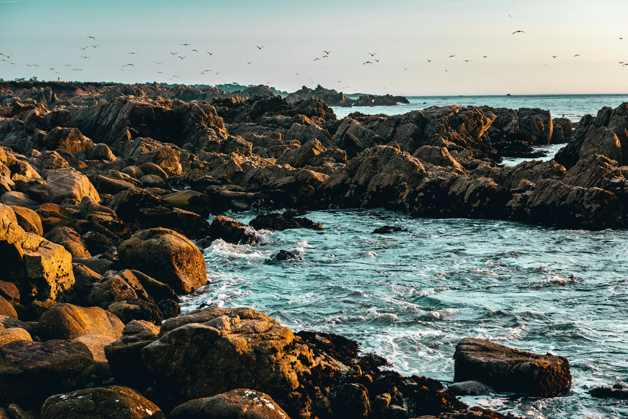 California : Monterey : China Rock