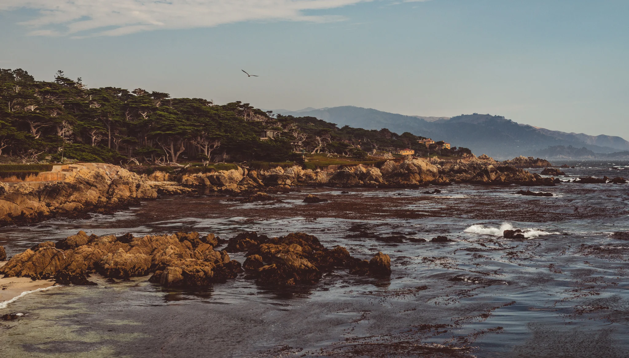 California : Monterey : Cypress Point Lookout