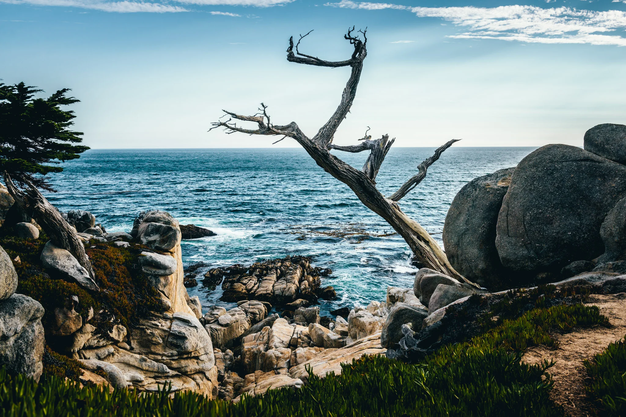 California : Monterey : Pescadero Point