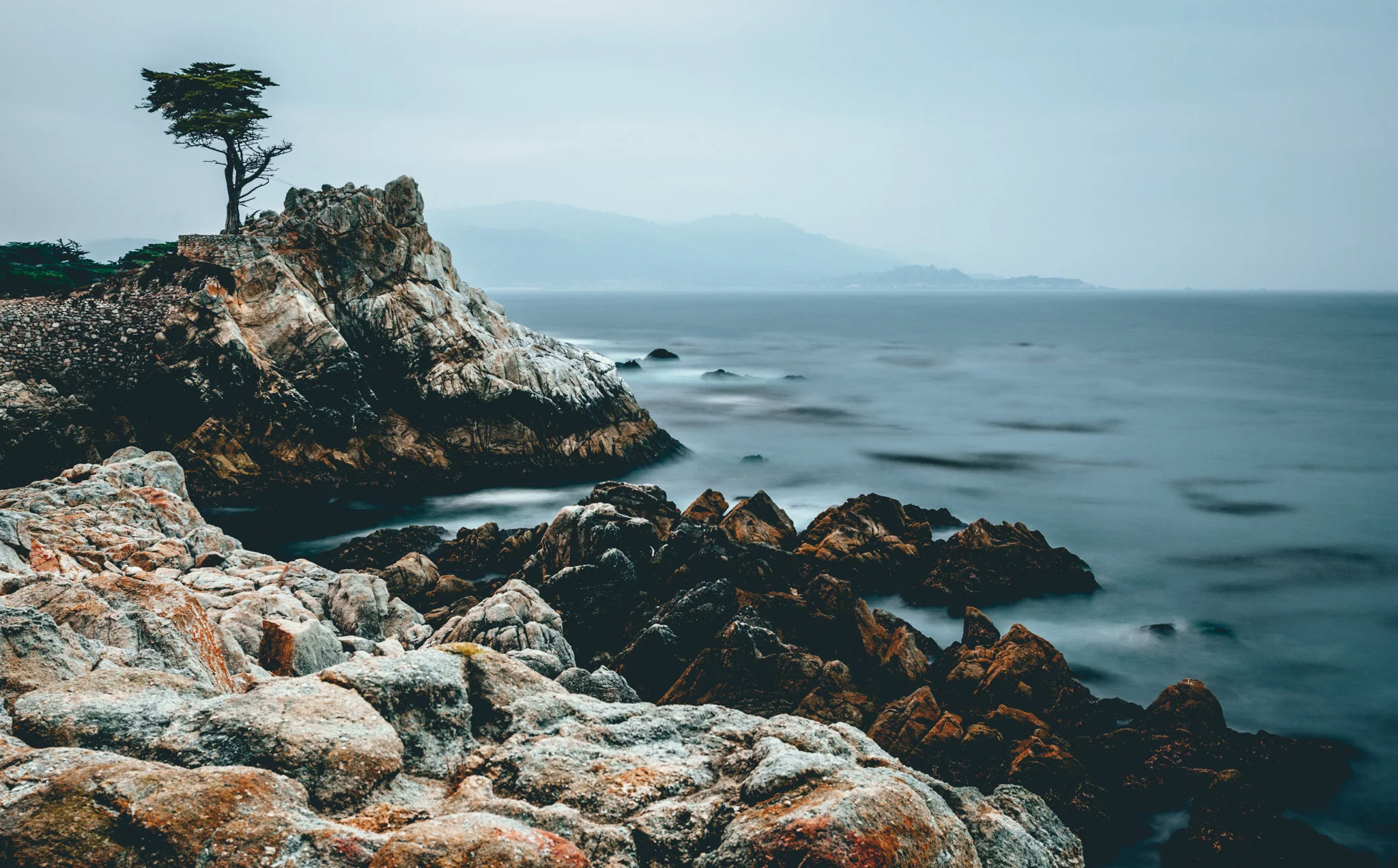 California : Monterey : The Lone Cypress