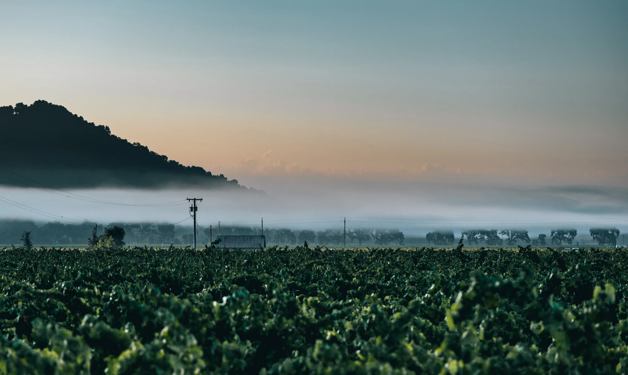 California : Napa Valley : Yountville Crossroad