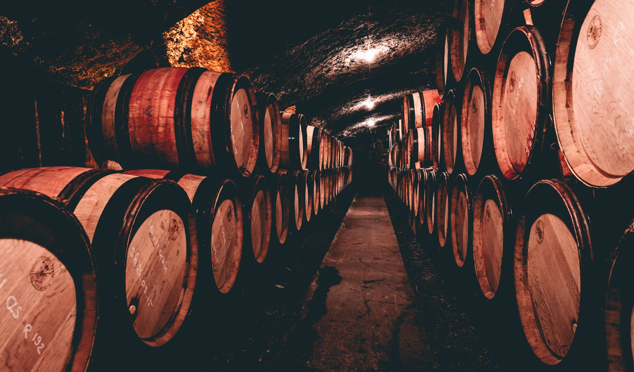 France : Northern Rhone : In the cellar at Guigal
