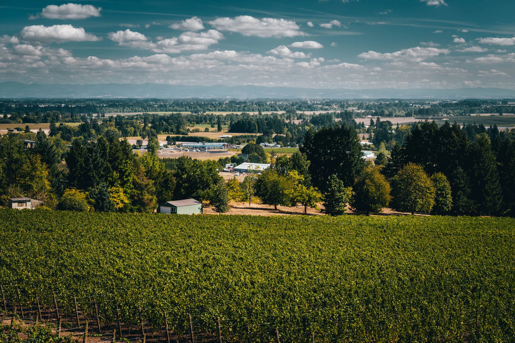 US : Oregon : The view at Domaine Roy in Dundee