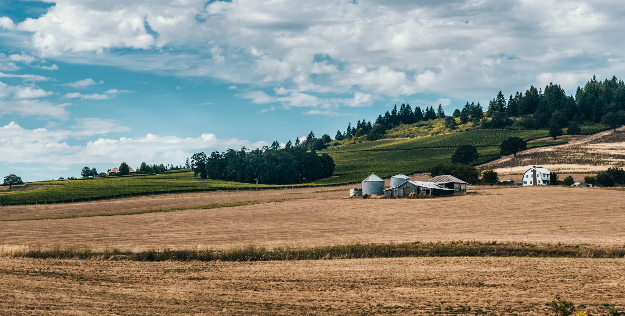 US : Oregon : Dundee Hills AVA