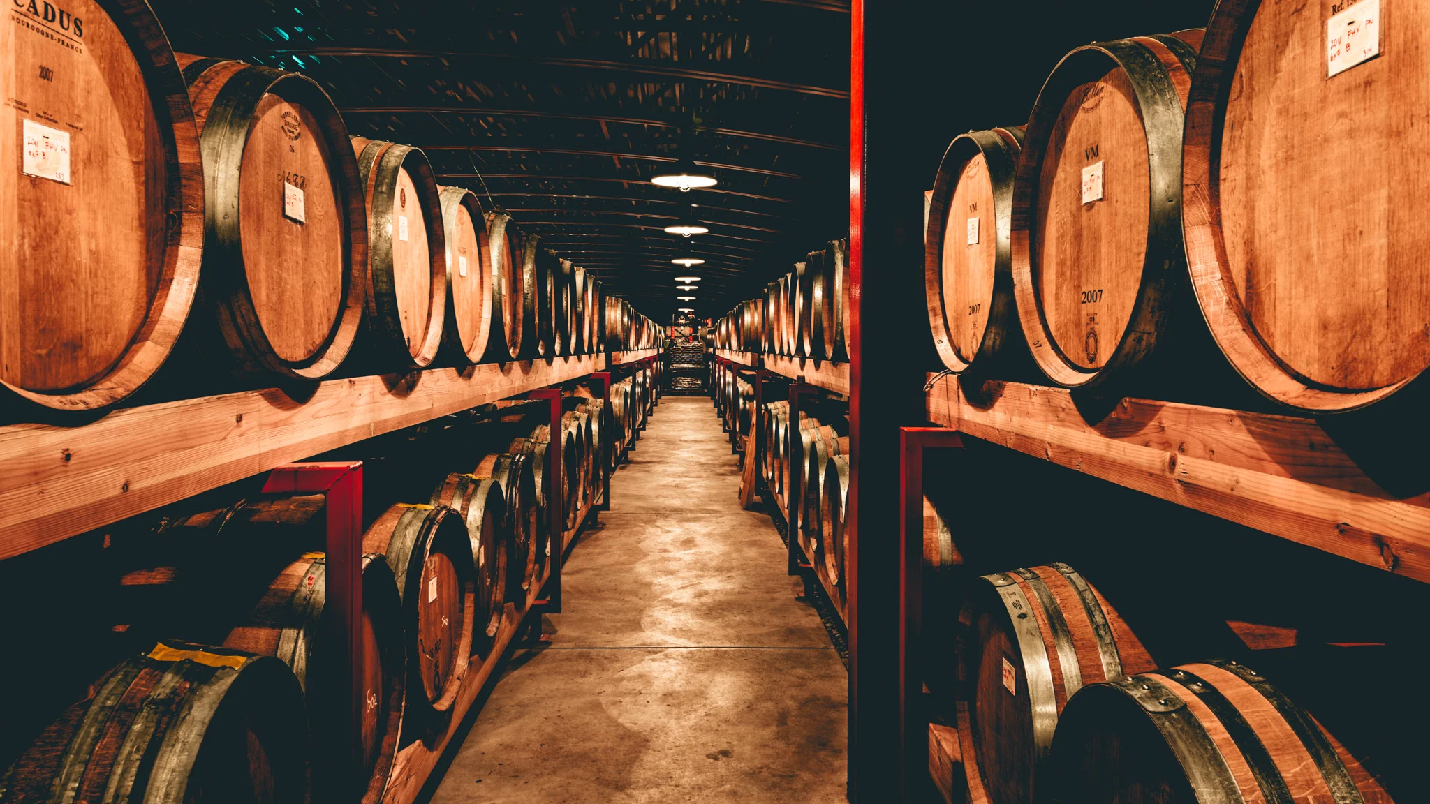 US : Oregon : Barrels at St. Innocent's winery in the Eola-Amity Hills AVA