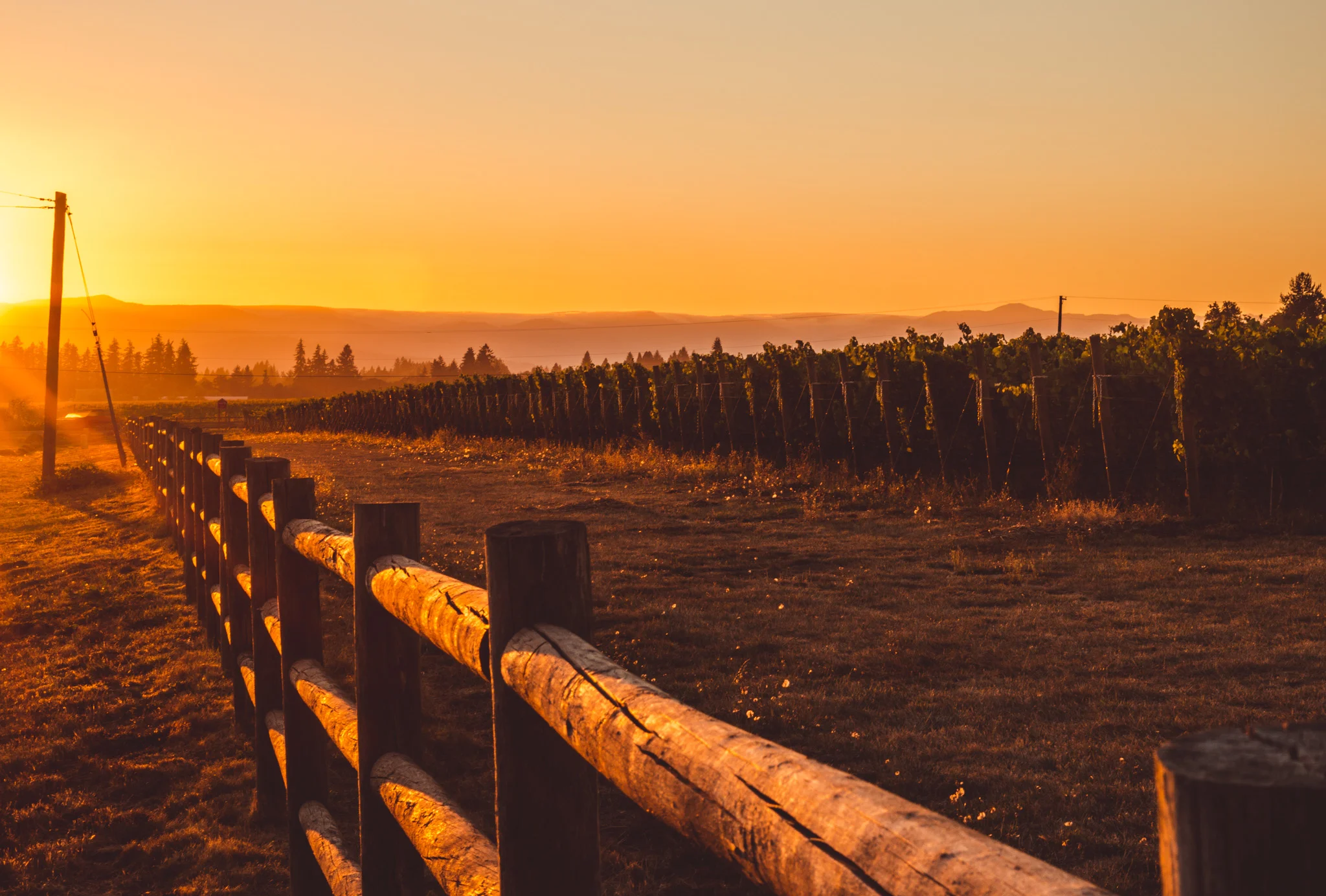US : Oregon : The sun sets on the Willamette Valley