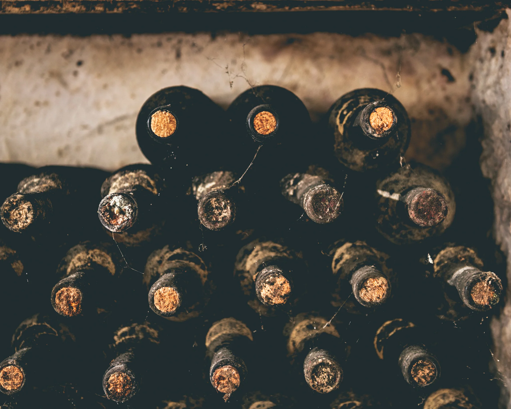 Italy : Piedmont : Beautiful old bottles at Azelia