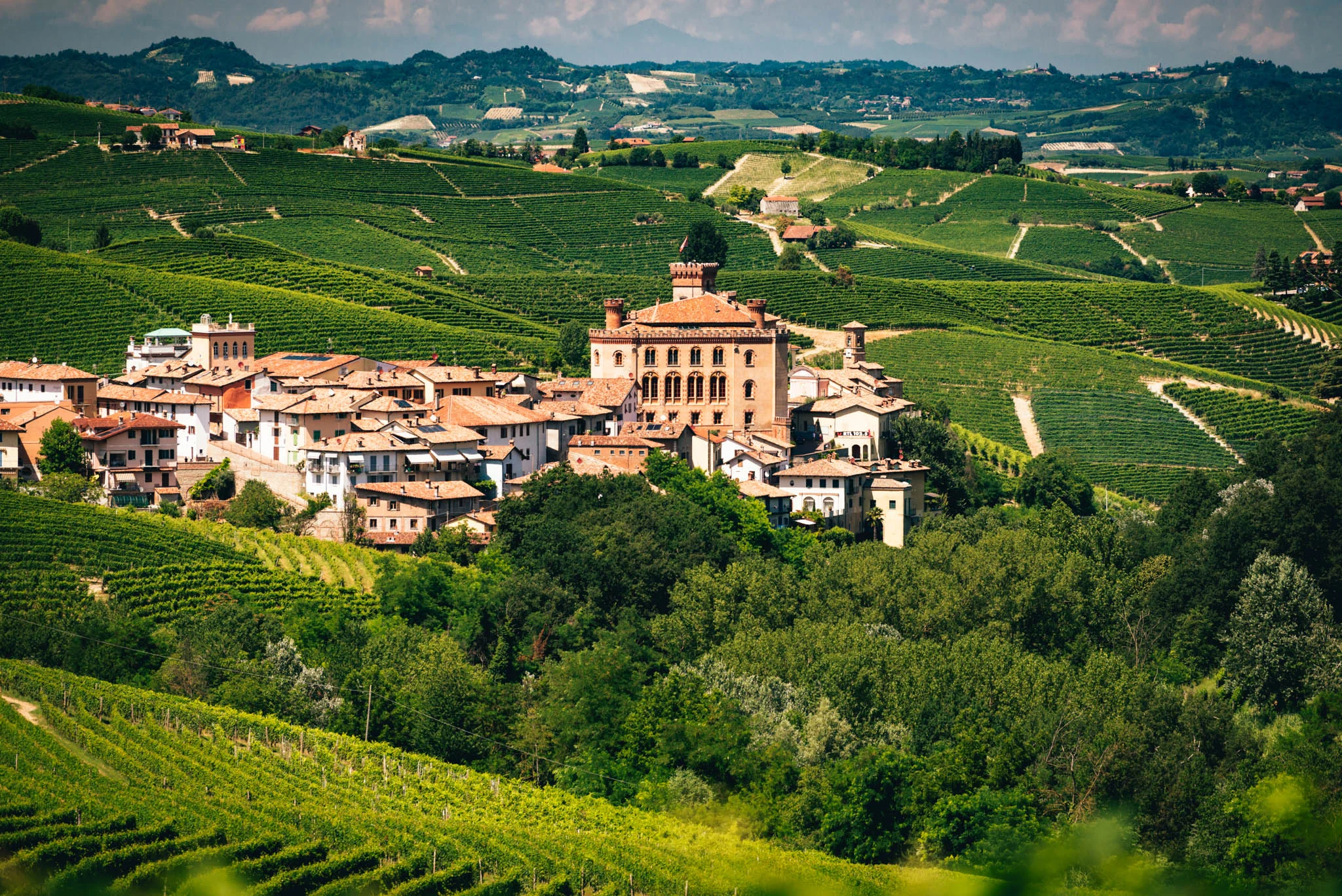 Italy : Piedmont : Barolo