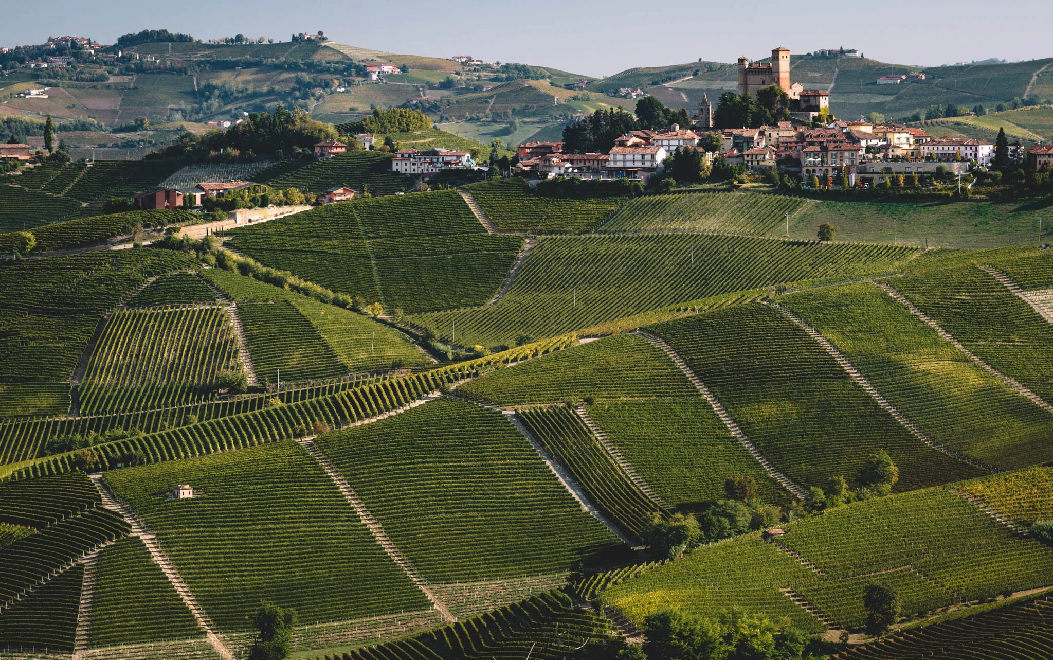 Italy : Piedmont : Vignarionda and Serralunga d’Alba