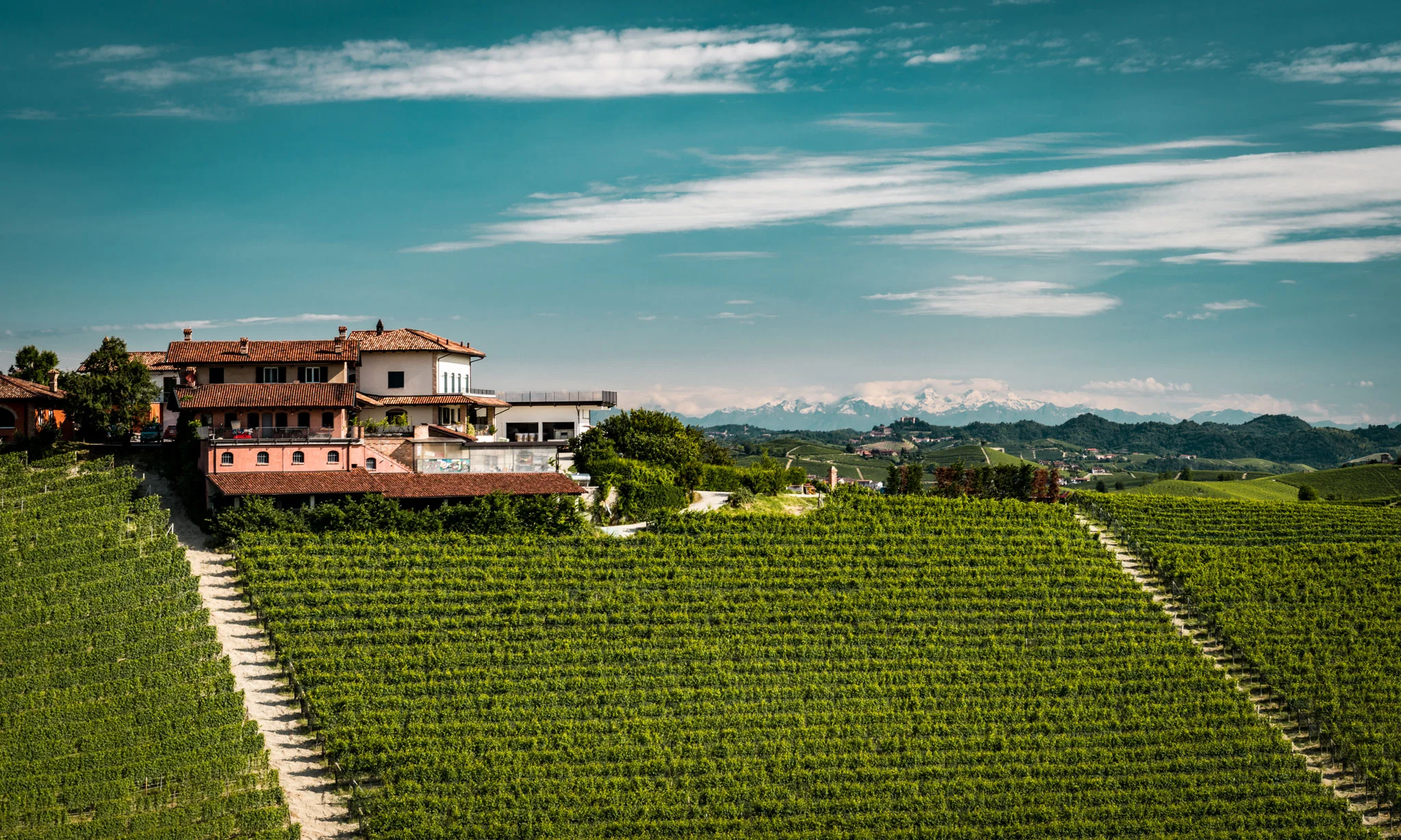 Italy : Piedmont : Arborina vineyard and Elio Altare's estate in La Morra