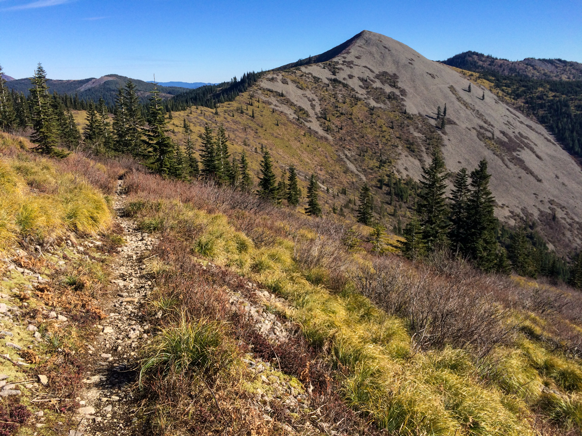 Looking+back+at+Baldy+Peak+and+where+we'd+been+only+a+short+while+before.Looking+back+at+Baldy+Peak+and+where+we'd+been+only+a+short+while+before..jpeg
