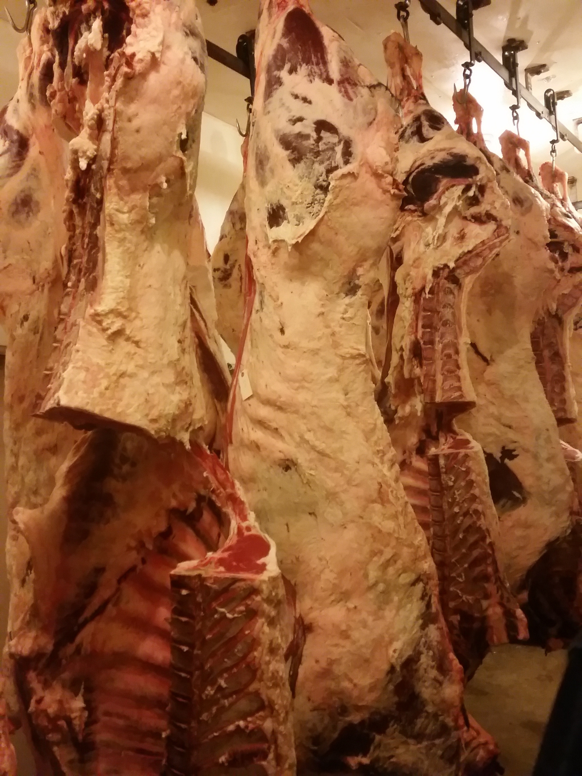 Scene from the dry-aging locker at Wilson Family Farm. 