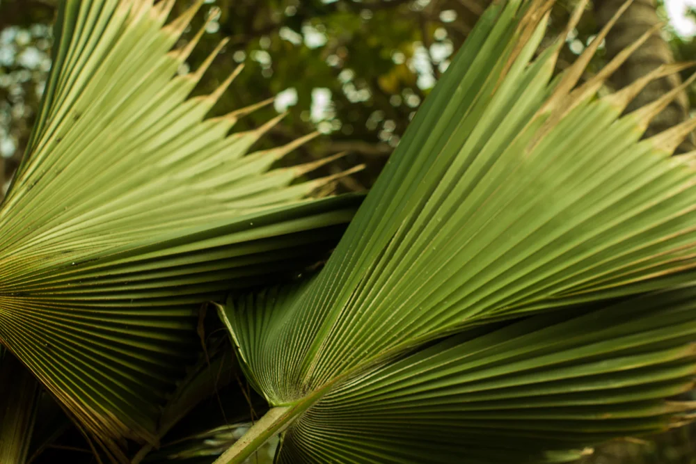 Colombia (1 of 13).jpg