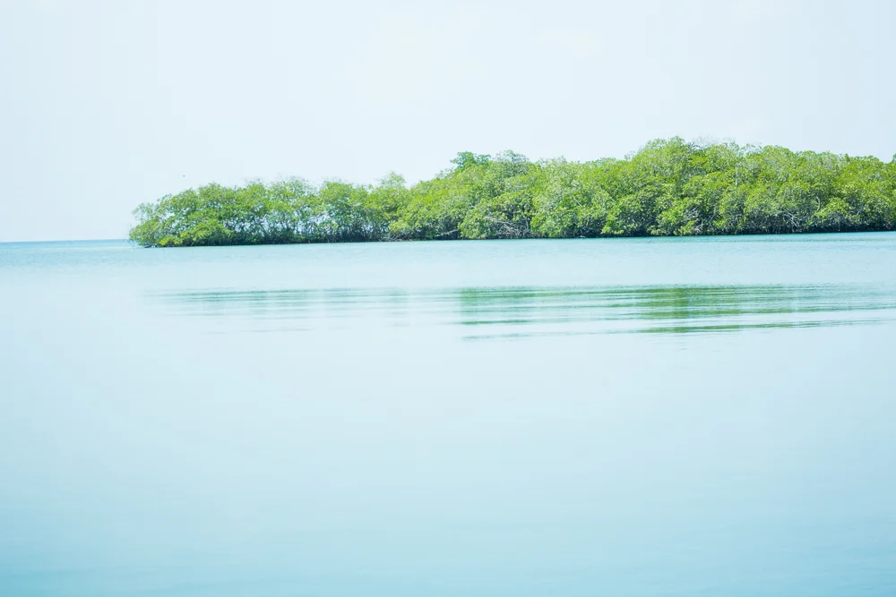 Colombia (9 of 13).jpg