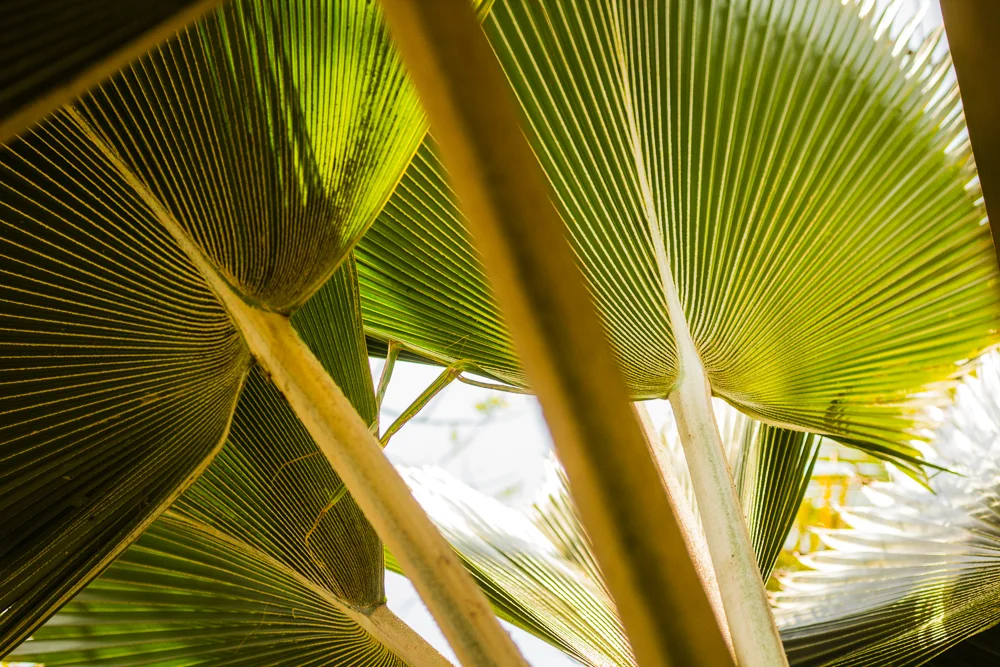 Colombia (10 of 13).jpg