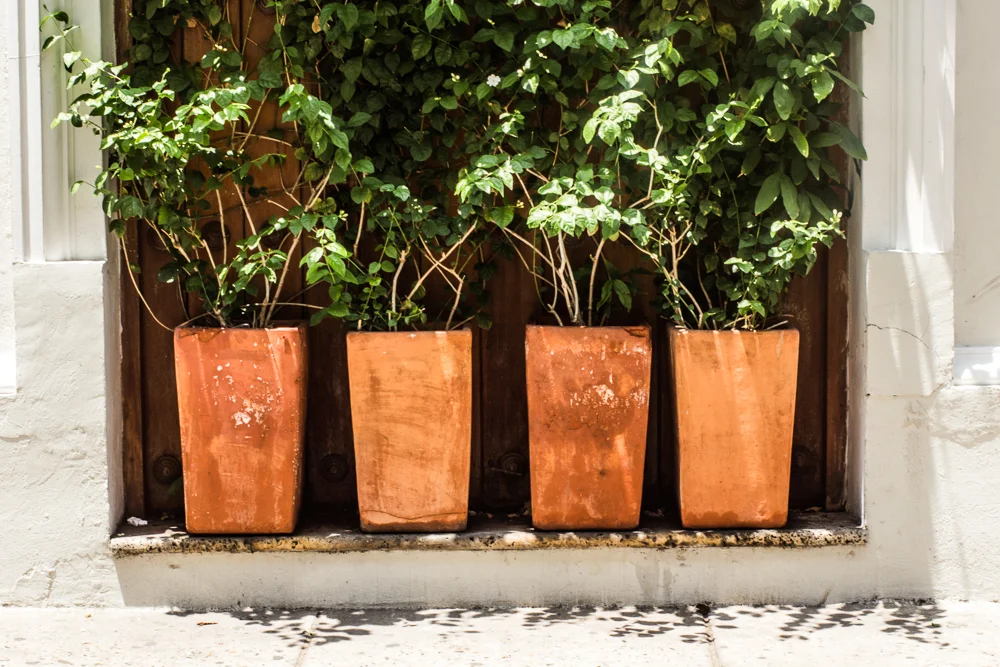 curtis_pottery (1 of 1)-13.jpg