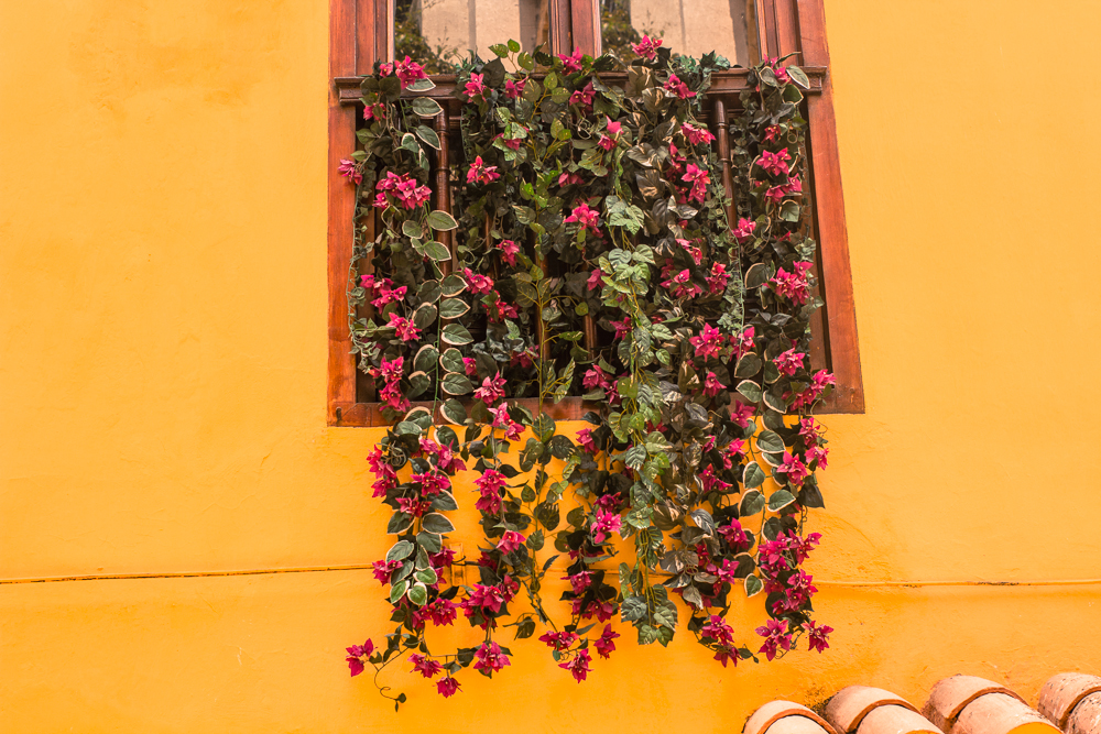 curtis_pottery (1 of 1)-14.jpg