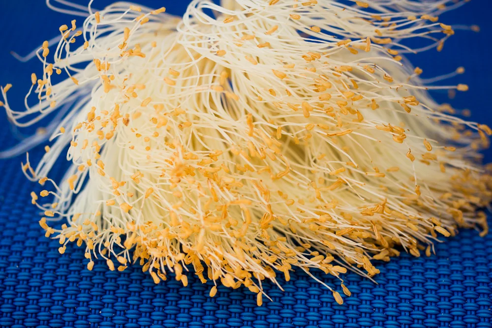 Colombia (11 of 13).jpg