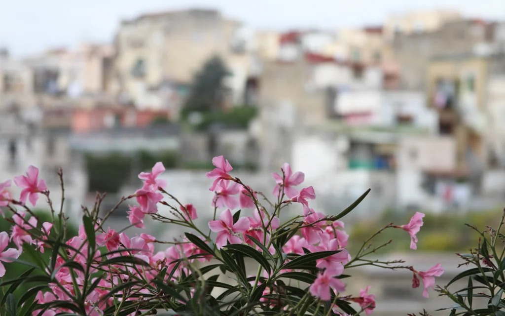 Italy, What's Not to Love, Really