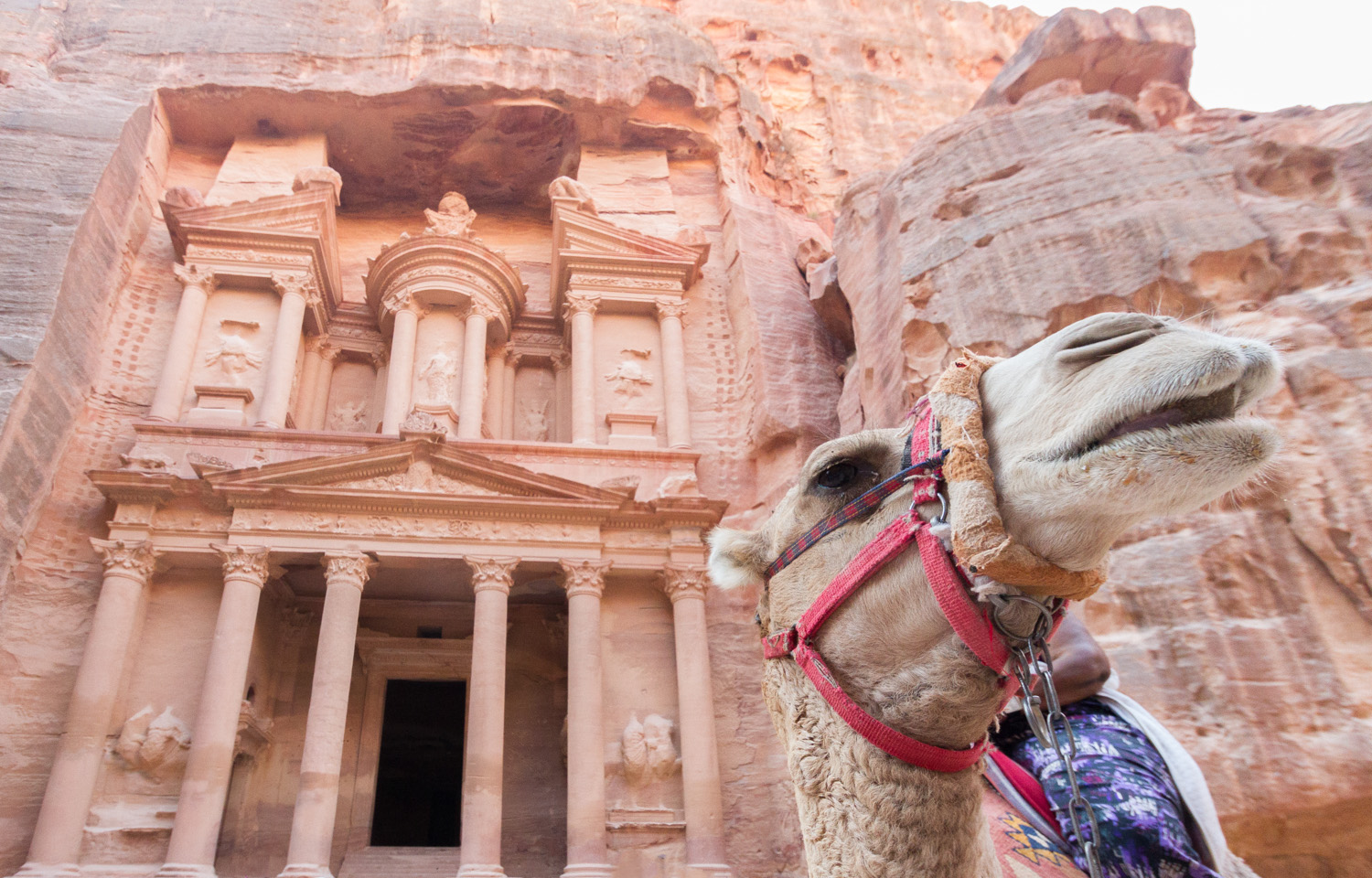 Christian-Schaffer-Jordan-Petra-Camel-002.jpg