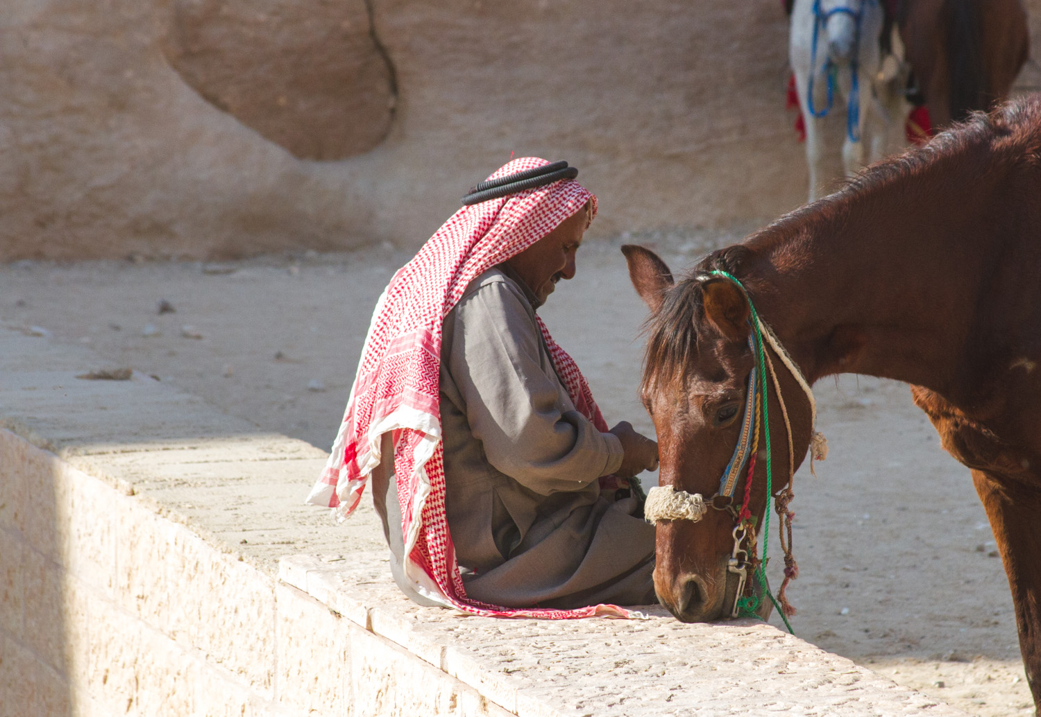 Christian-Schaffer-Jordan-Petra-Horse-002.jpg