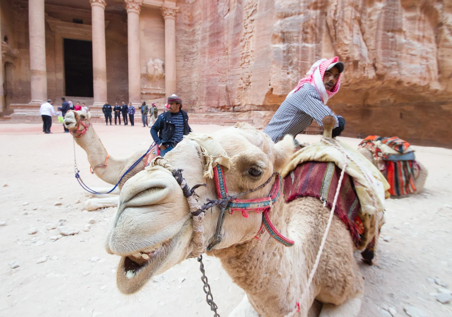 Hoofing it in Petra, Jordan
