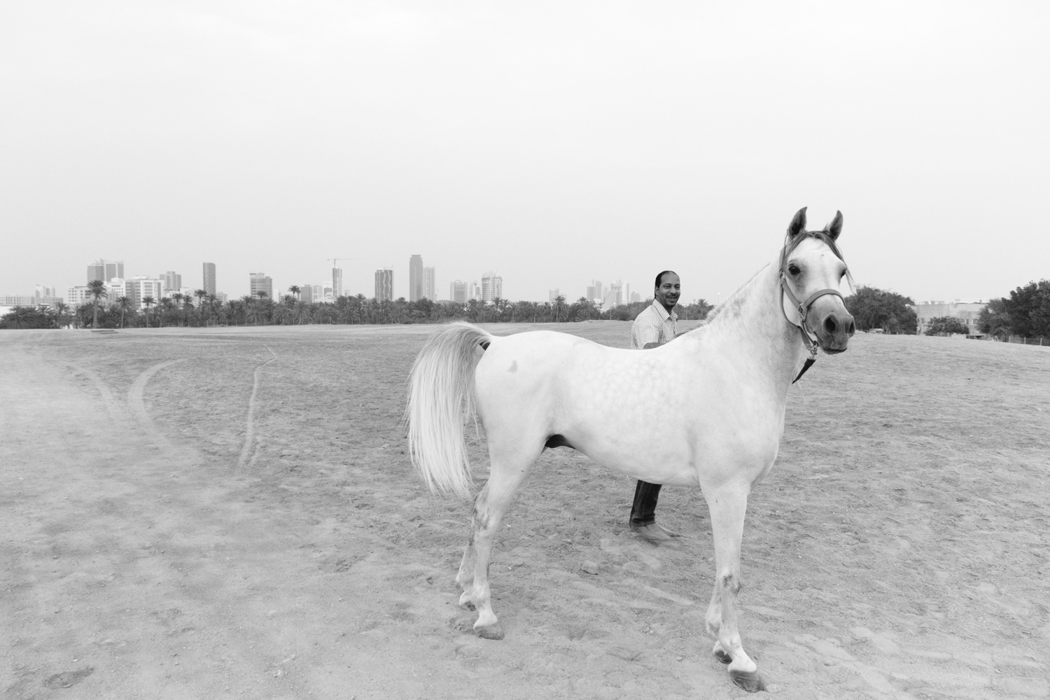 Christian-Schaffer-Bahrain-Desert-White-Horse-002.jpg