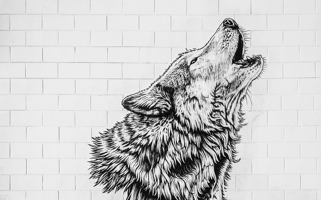 Christian-Schaffer-New-Zealand-Christchurch-Street-Art-Wolf.jpg