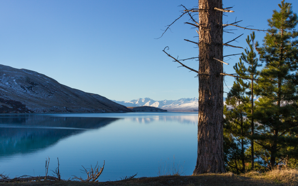 Christian-Schaffer-New-Zealand-Lake-Tekapo.jpg