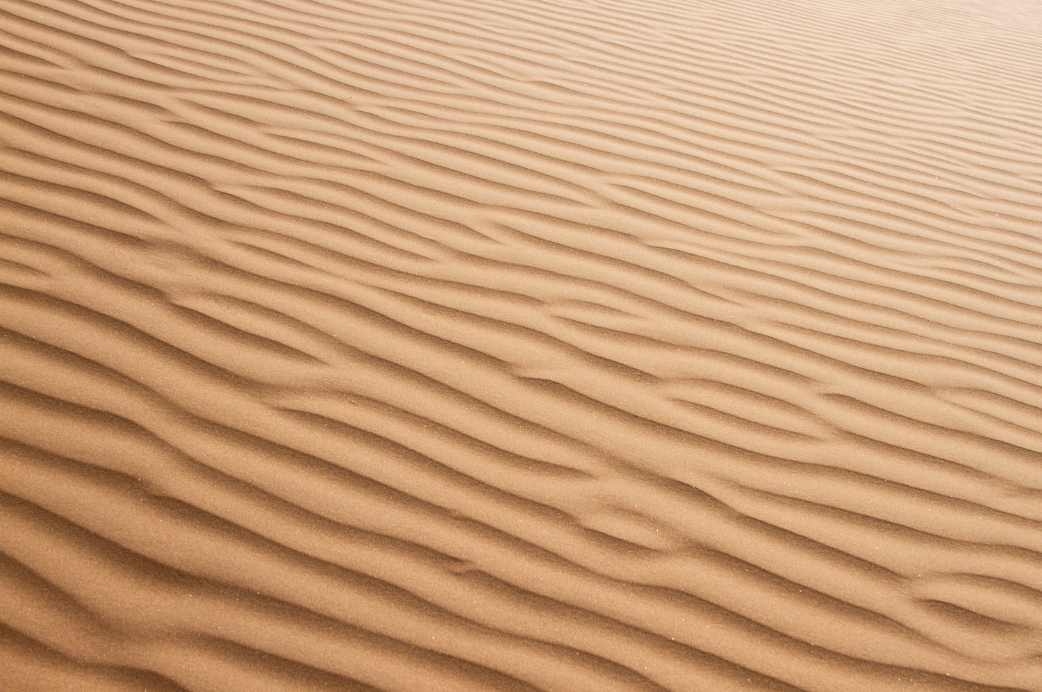 Christian-Schaffer-Oman-Al-Sharqiya-Sands.jpg