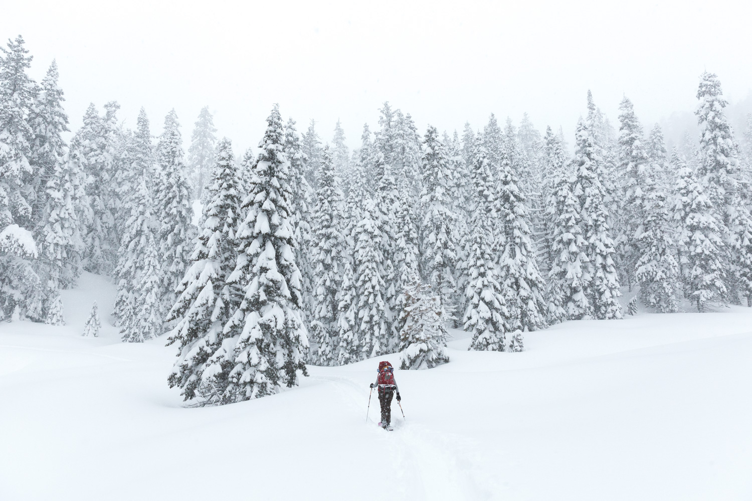 A short video by CLIF of our snowy trek through Sierra backcountry in search of fresh powder.