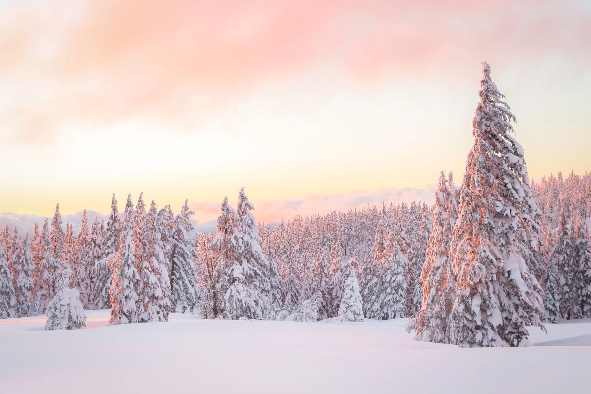 USA Today: Top 50 Instagram Photos